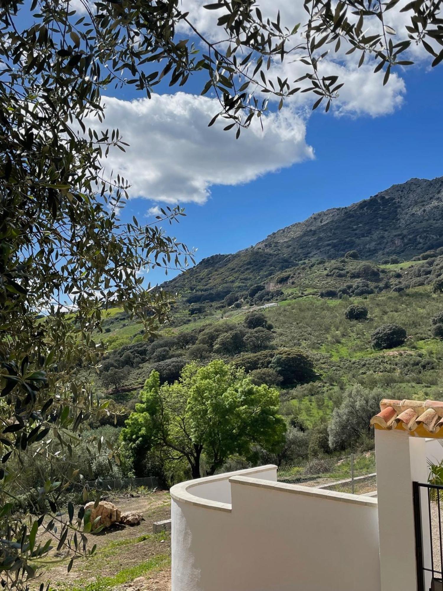 Cortijo Rancho Verde Colmenar Buitenkant foto